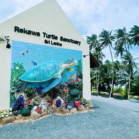 Shine Wave Turtle Beach 坦加拉 外观 照片