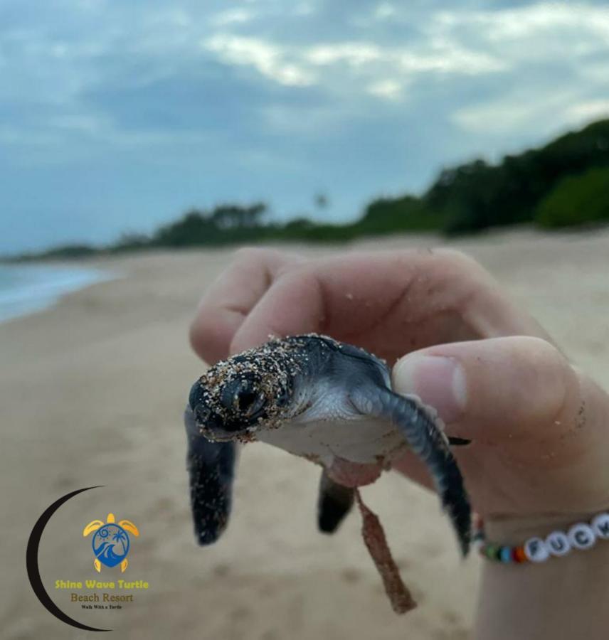 Shine Wave Turtle Beach 坦加拉 外观 照片